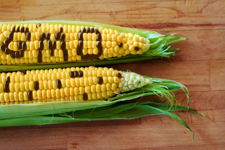 GMO Foods